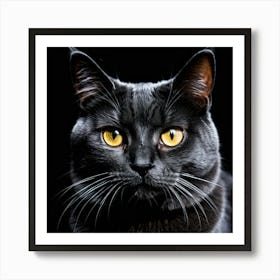 Black Cat With Yellow Eyes Art Print