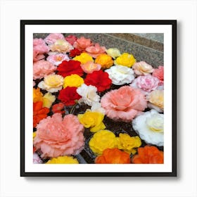 Peony Garden Art Print