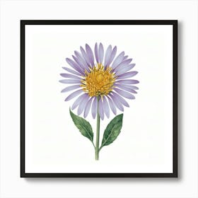 Aster Art Print