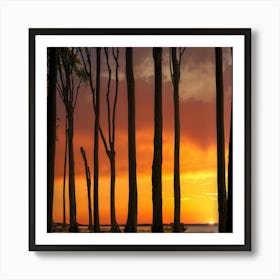 Sunset In The Trees Art Print