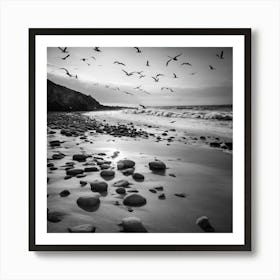 Black And White Seagulls Art Print