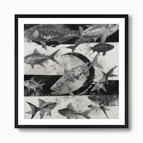 Black And White Fish Art Print