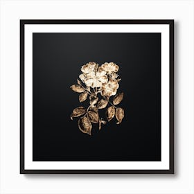 Gold Botanical Rose Clare Flower on Wrought Iron Black n.4755 Art Print