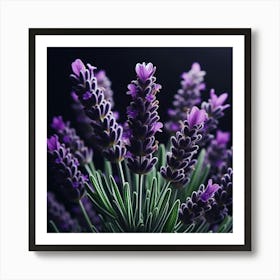 Lavender Flowers On Black Background 2 Art Print