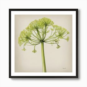 Ivy fennel Canvas Print flower plants painting art print Art Print