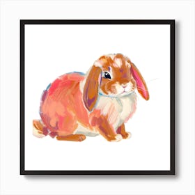 Holland Lop Rabbit 02 Art Print