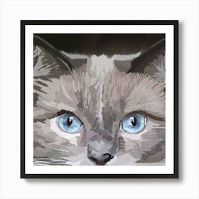 Cat With Blue Eyes Art Print