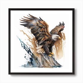 Bald Eagle 1 Poster