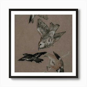 Birds On A Branch 4 Art Print