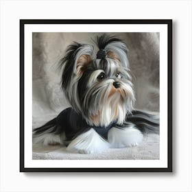 Parti Yorkshire Terrier 2 Art Print