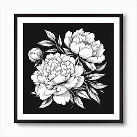 Peonies On Black Background Art Print