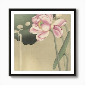 Lotus Flower Art Print