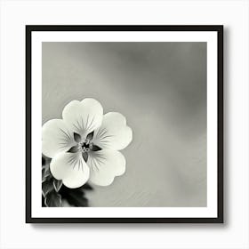 Geranium Art Print