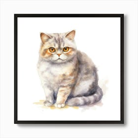 Scottish Fold Shorthair Cat Portrait Art Print