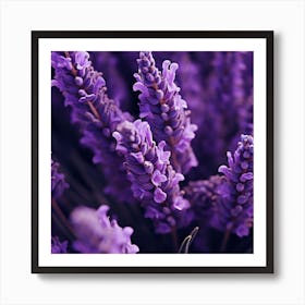 Lavender Flowers 11 Art Print