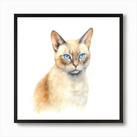 Burmese Platinum Cat Portrait 3 Art Print