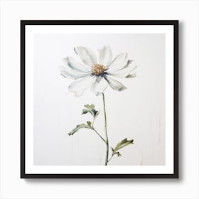 White Cosmos Art Print