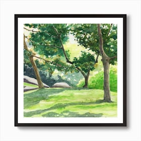 Trees In The Park Art Print