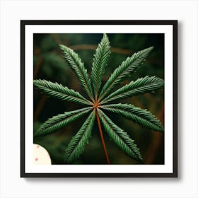 Sequoia leafs Art Print