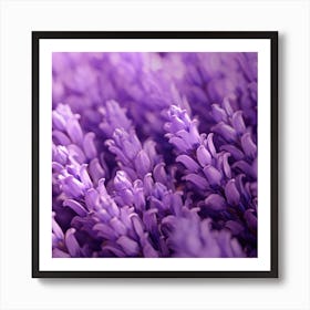 Lavender Flowers 15 Art Print