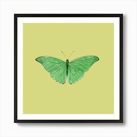 Green Butterfly Art Print