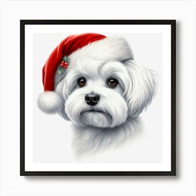 Maltese Dog Poster