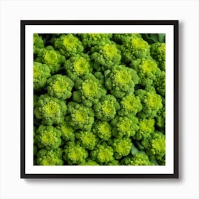 Green Broccoli At The Market 1 Art Print