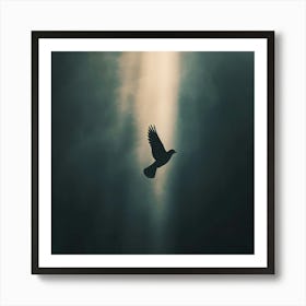 Silhouette Of A Dove Flying Art Print