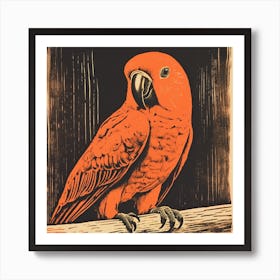 Retro Bird Lithograph Parrot 1 Art Print