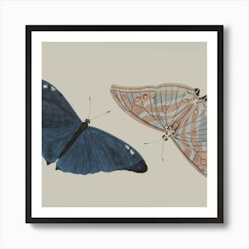 Butterfly Pair Art Print