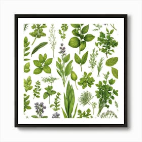 Kitchen Herbs Art Print 3 Art Print