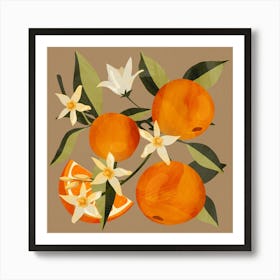 Oranges Botanical Art Art Print