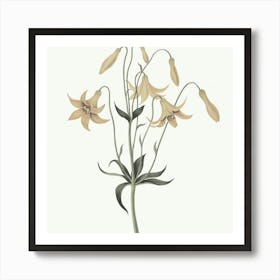 Lily Of The Valley 3 Art Print