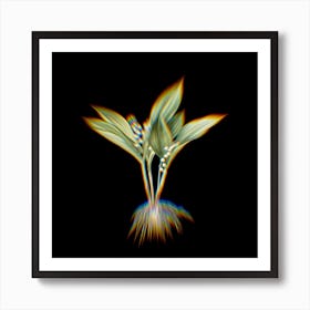 Prism Shift Lily of the Valley Botanical Illustration on Black n.0241 Art Print
