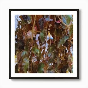 Ivy beautiful Art Print