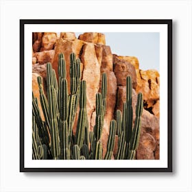 Desert Canyon Cactus Art Print