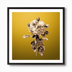 Gold Botanical Giant French Rose on Mango Yellow n.4167 Art Print