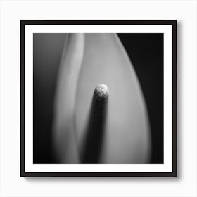 the impression bw square Art Print