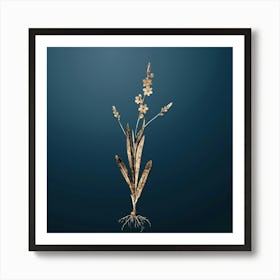 Gold Botanical Ixia Scillaris on Dusk Blue n.0814 Art Print