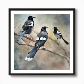 Magpies 8 Art Print