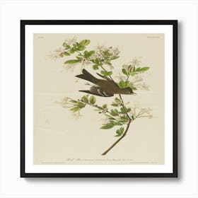 Bird Perched On A Branch 2 Art Print