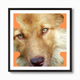 Wolf Dog Art Print