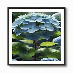 Hydrangea 1 Art Print