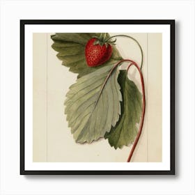 Fruit 2 7 Art Print