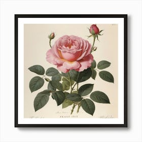 Pink Rose flower plants painting art print Art Print