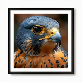 Cute Hawk Art Print