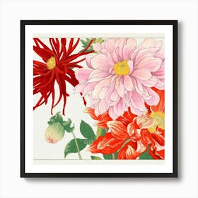 Dahlias 1 Art Print