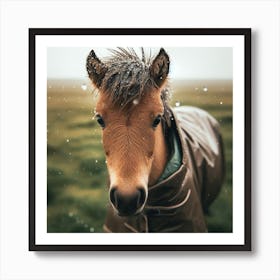 Horse In The Rain Art Print