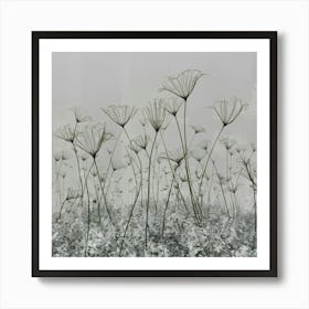 Field Of Flowers Art Print