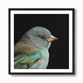 Bird In Flight Art Print